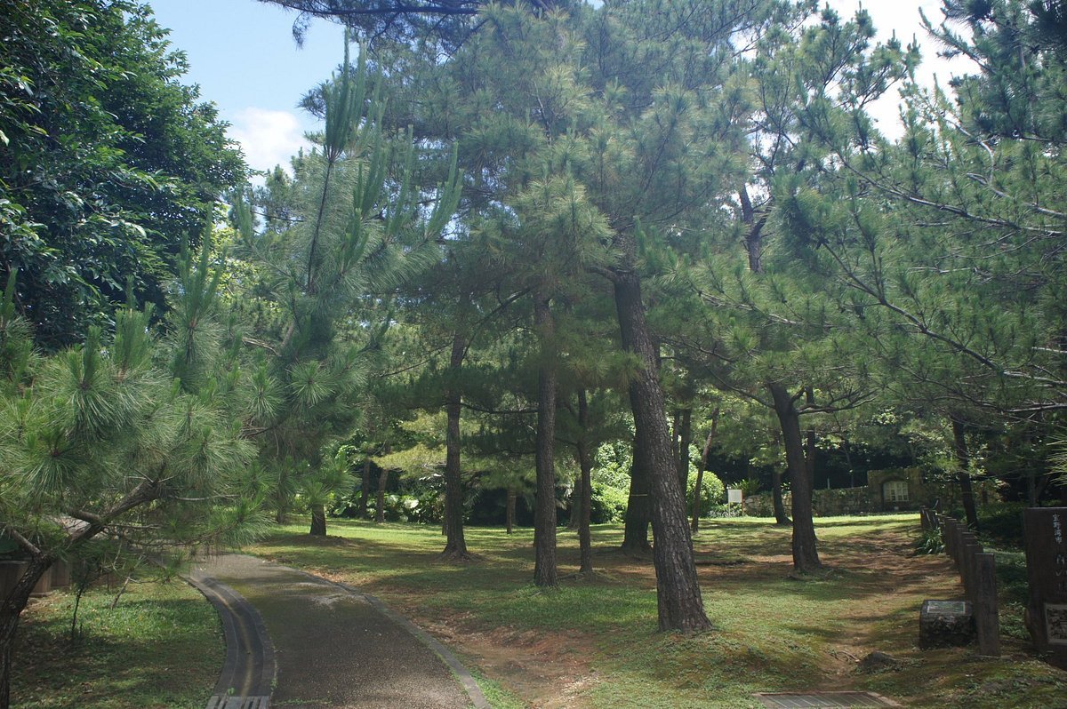 🏛️ 기노완 시립 박물관(기노완 시리츠 하쿠부츠칸) 이미지 5